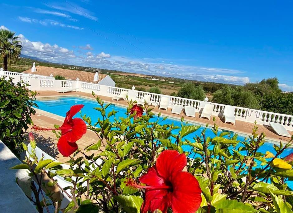 Blue Skies Villas 1&2 Mexilhoeira Grande Exterior photo